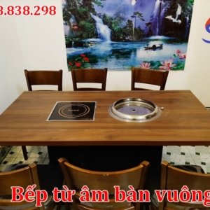 Bếp từ âm bàn vuông sinpo